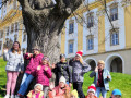 IMG_20250410_1110382