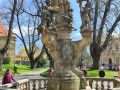 IMG_20250410_1147502