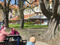IMG_20250410_115622