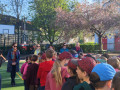 IMG_20250416_080145