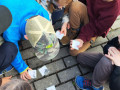 IMG_20250416_0917492