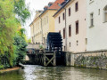 IMG_20251016_1443422