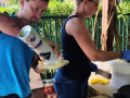 IMG_20250619_1758092