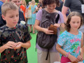 IMG_20240627_182317