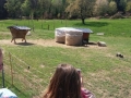 20160429_123156