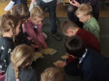 IMG_20250405_1155142
