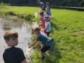 IMG_20240606_091824480