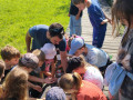 IMG_20240606_092419849