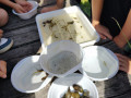 IMG_20240606_092617781