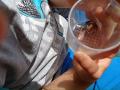 IMG_20240606_113517