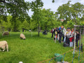 IMG_20250506_112947