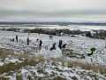 IMG-20230125-WA0006
