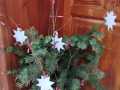 IMG-20221201-WA0026