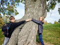 IMG_20261012_1049362