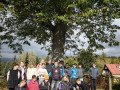 IMG_20261012_115527
